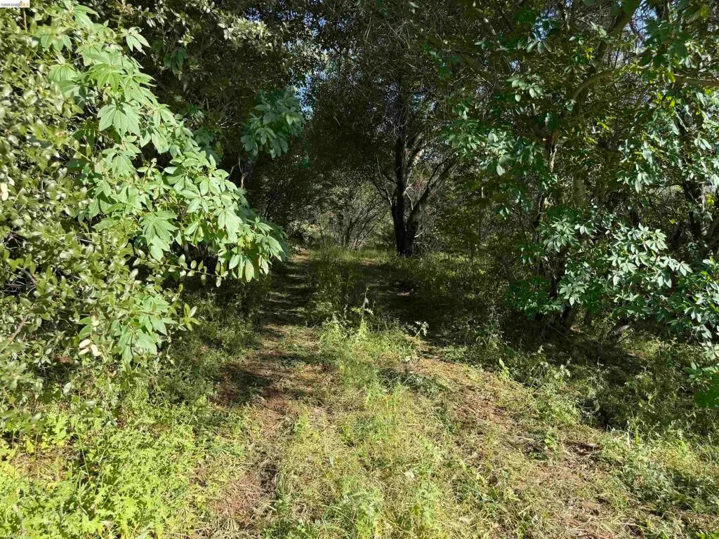 4320 Usona Rd, Mariposa, CA 95338 - #1
