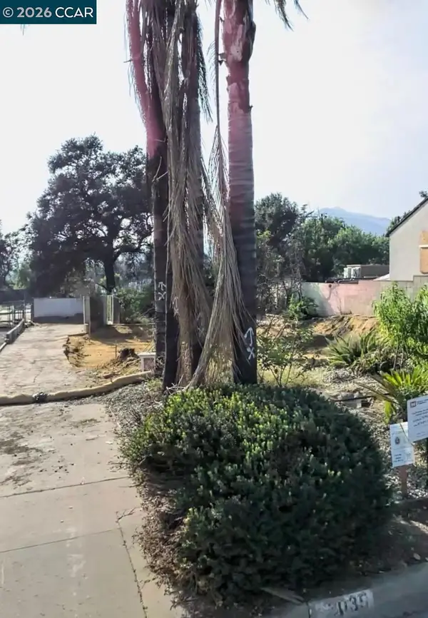 3035 N Olive Ave, Altadena, CA 91001