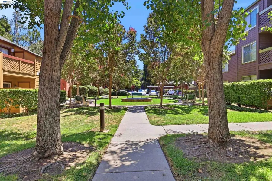 682 Teatree Ct, San Jose, CA 95128 - #3