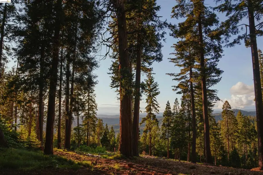 25120 State Highway 108, Mi Wuk Village, CA 95346 - #2
