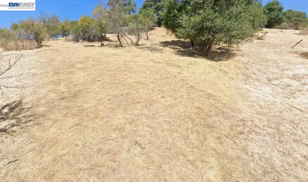 Warren St, Martinez, CA 94553