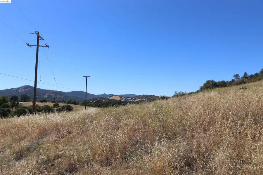 781 Gelding, Angels Camp, CA 95222 - #2