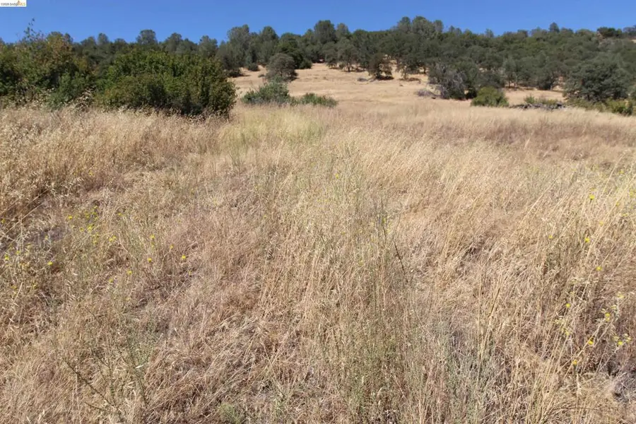 781 Gelding, Angels Camp, CA 95222 - #3