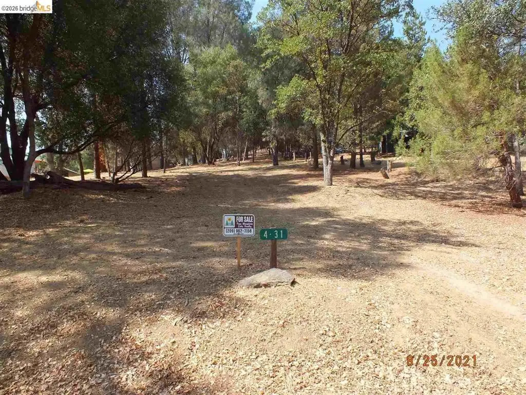 20650 Crescent Way, Groveland, CA 95321 - #1