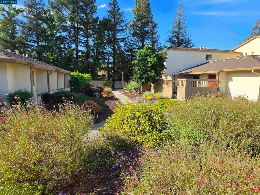 1959 Olmo Way, Walnut Creek, CA 94598 - #3
