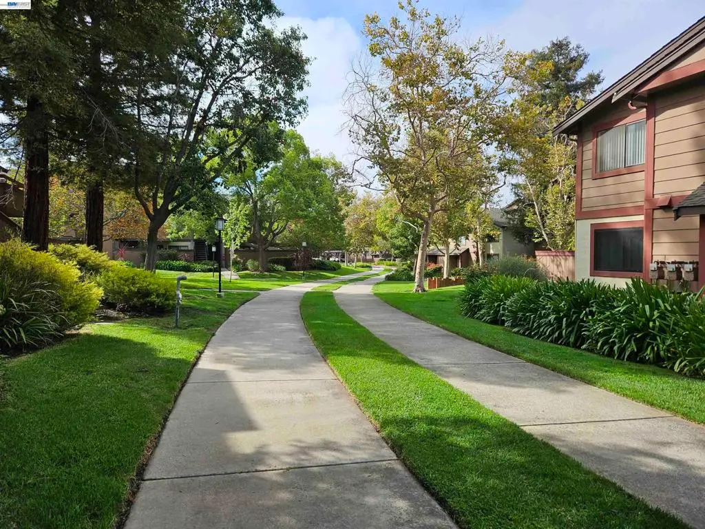 247 E Warren Cmn, Fremont, CA 94539 - #1