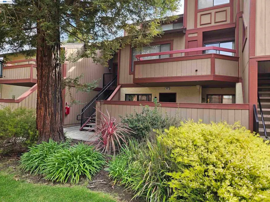 247 E Warren Cmn, Fremont, CA 94539 - #3