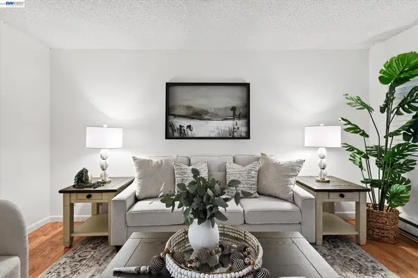 2205 San Antonio Ave #F, Alameda, CA 94501