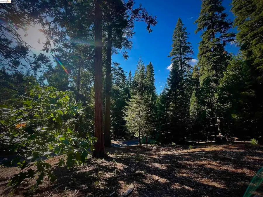 5125 Hokan Circle, Arnold, CA 95223 - #2