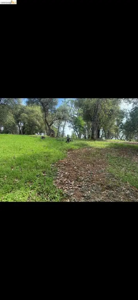 3 154 Boitano Rd, Groveland, CA 95321 - #2