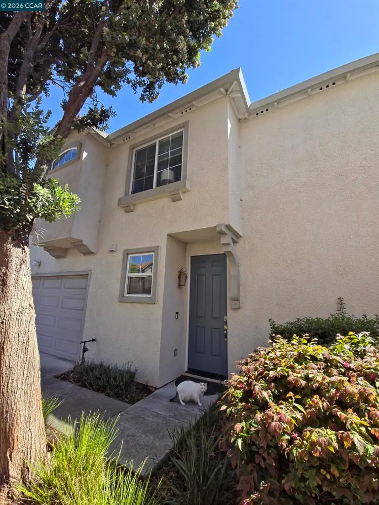 1036 Suncrest Ct, Richmond, CA 94806 - #3
