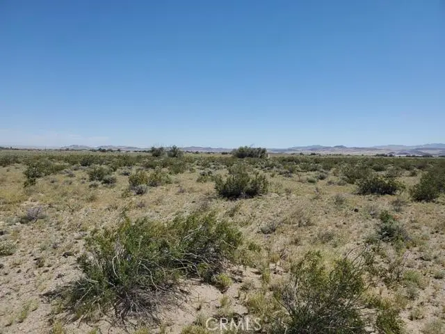 0 Autumn Leaf Road, Newberry Springs, CA 92365 - #1