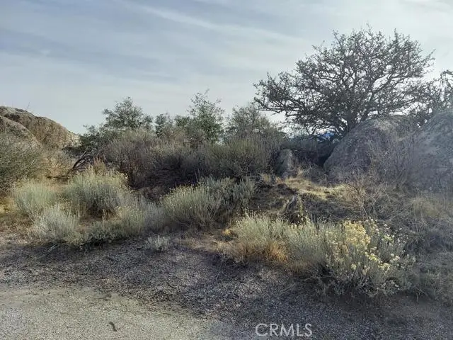 0 Amberwood Court, Tehachapi, CA 93561 - #3