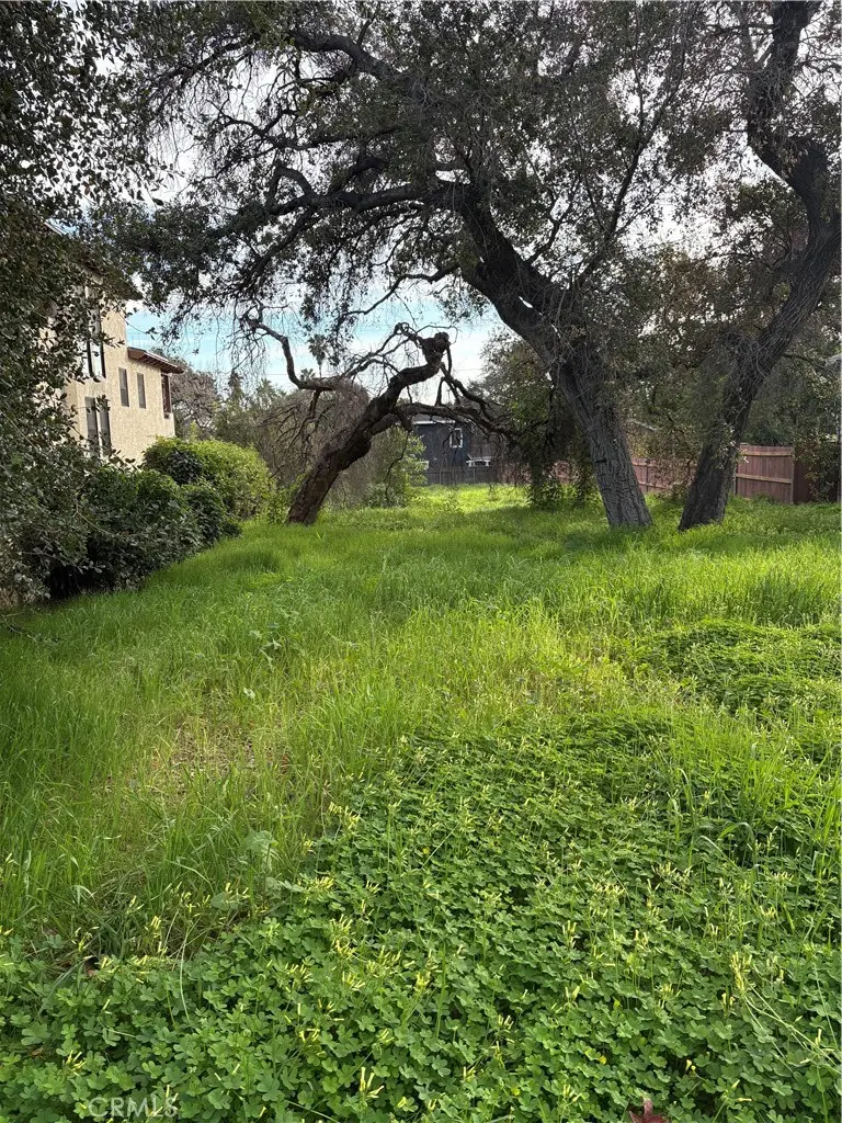 0 Mariposa Avenue, Sierra Madre, CA 91024 - #3