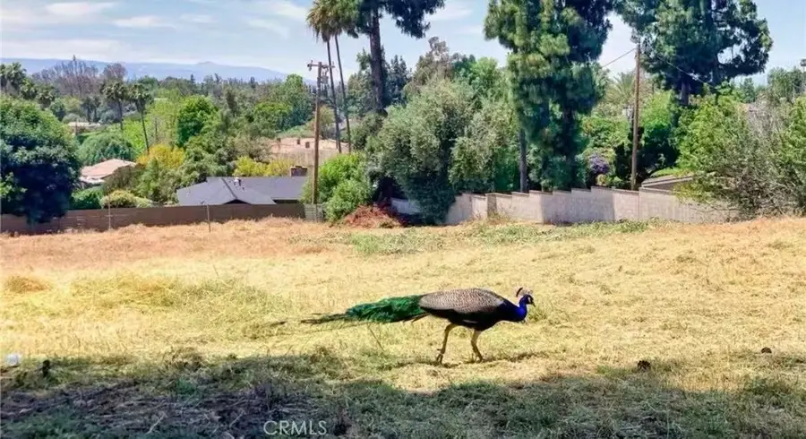 20528 E Rancho Los Cerritos, Covina, CA 91724 - #3