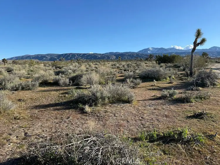 206 X9 206 S Vic Ave, Llano, CA 93544 - #1