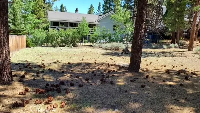 0 St Moritz, Big Bear, CA 92315 - #3