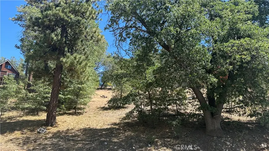 1154 Ridge Road, Fawnskin, CA 92333 - #2