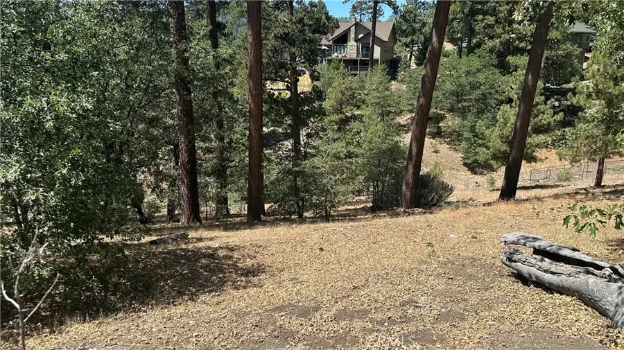 1154 Ridge Road, Fawnskin, CA 92333 - #3