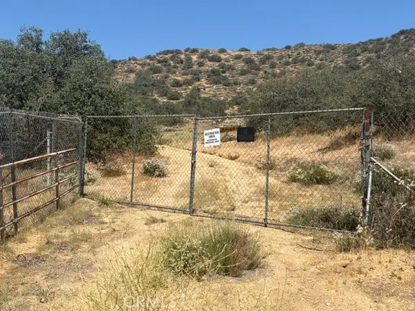 1 Shannon Valley Road, Acton, CA 93510