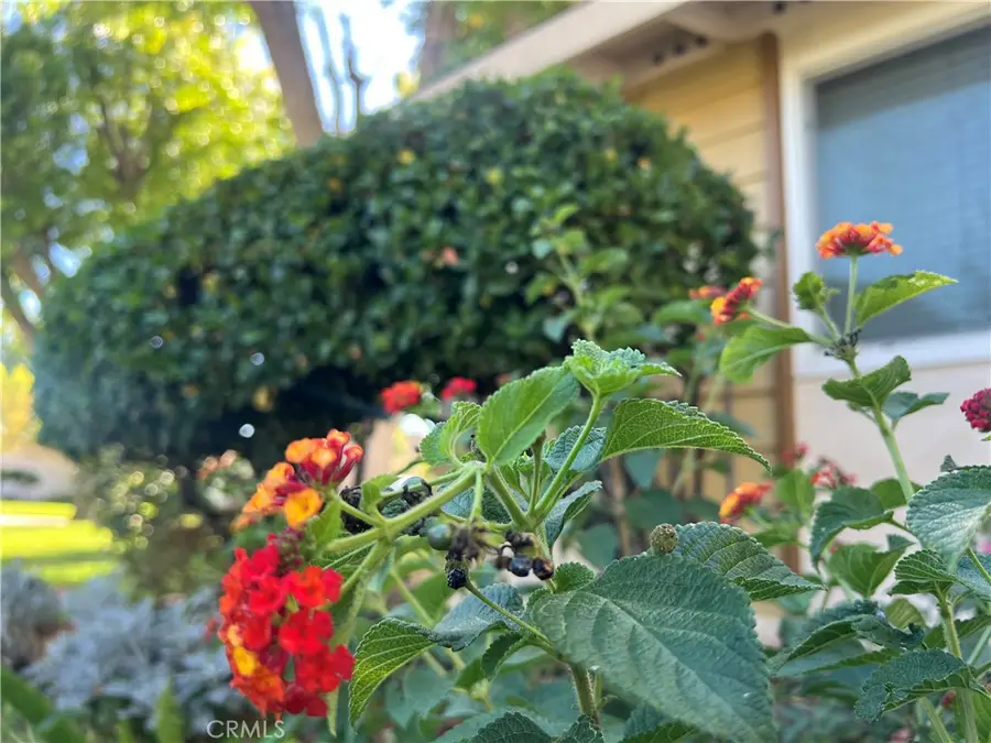 26759 Whispering Leaves, Newhall, CA 91321 - #3
