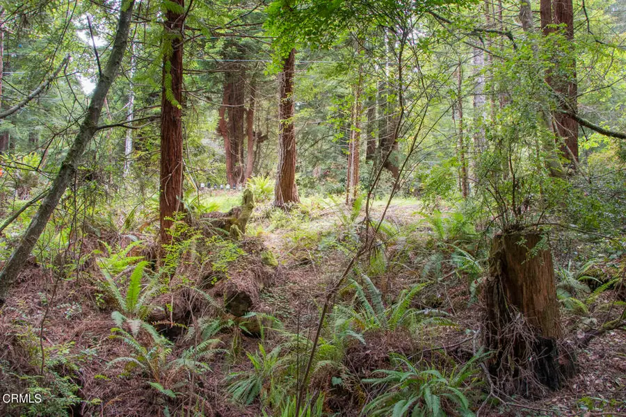 32100 Forest Lane, Fort Bragg, CA 95437 - Image #3