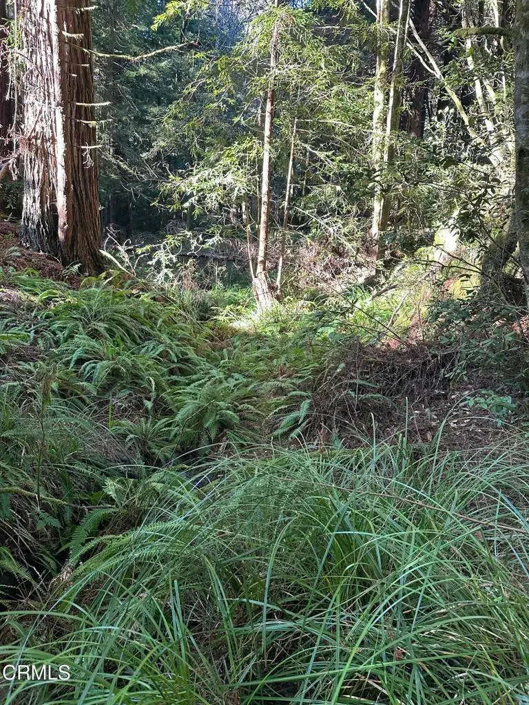 17500 Redwood Springs Drive, Fort Bragg, CA 95437 - #3