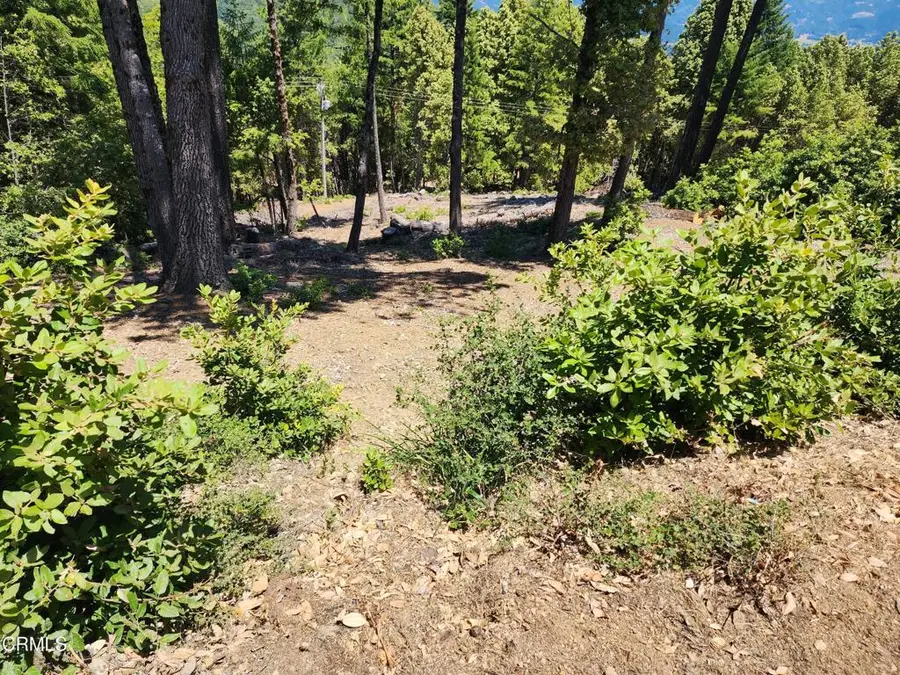 4350 Cahto Peak Road, Laytonville, CA 95454 - #2