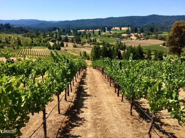 3400 Chardonnay Lane, Philo, CA 95463
