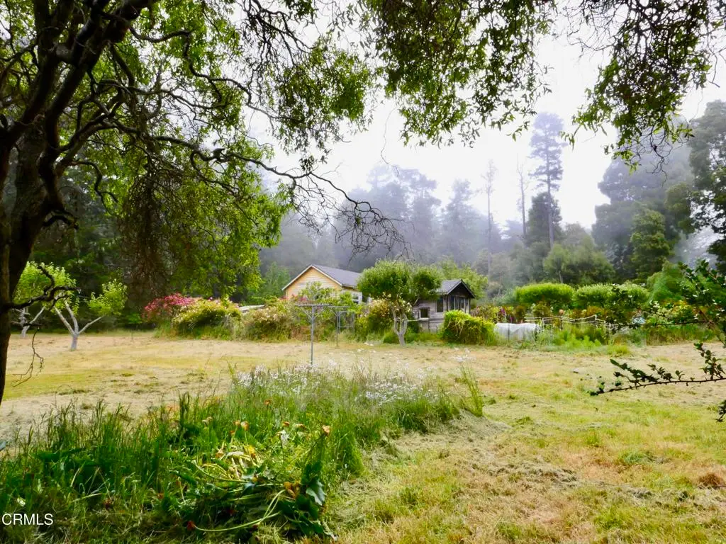 10776 Gurley Lane, Mendocino, CA 95460 - #1