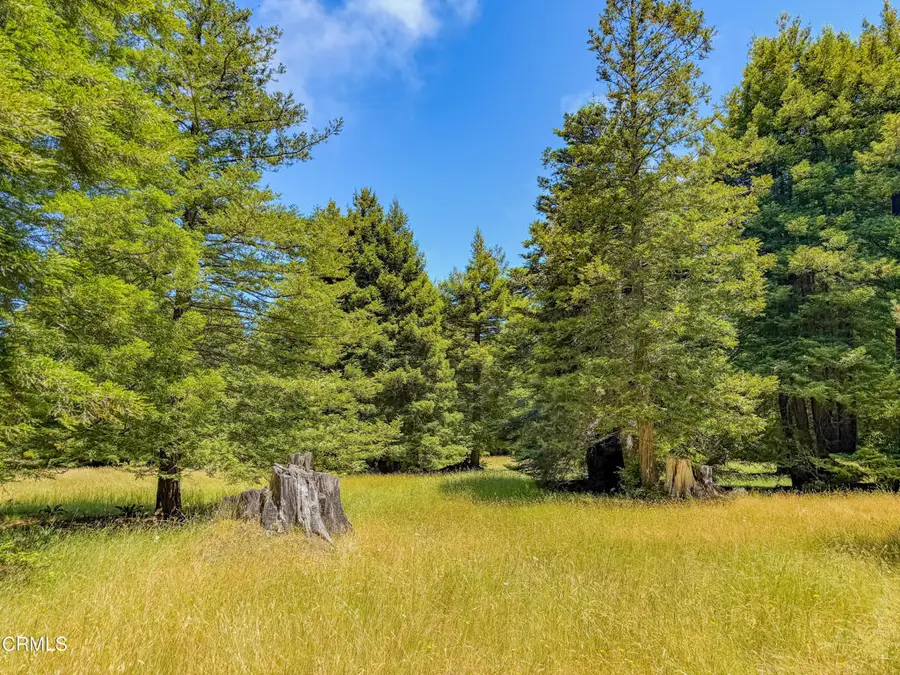 32700 Nameless Lane, Fort Bragg, CA 95437 - #2