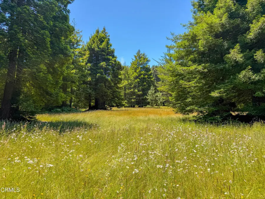 32700 Nameless Lane, Fort Bragg, CA 95437 - #3