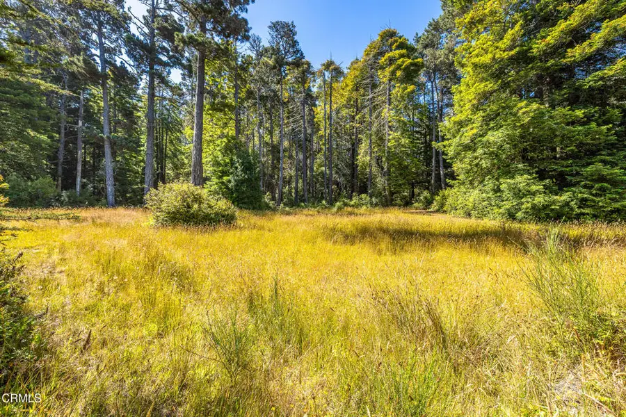 32401 Creekside Lane, Fort Bragg, CA 95437 - #2