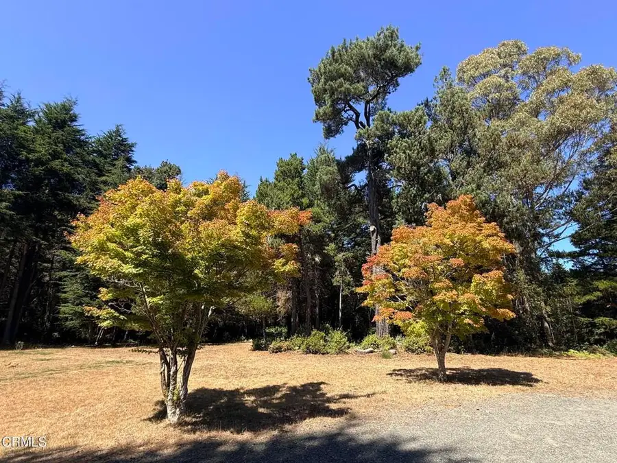 31290 Thomas Lane, Fort Bragg, CA 95437 - #3