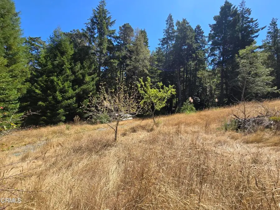 40741 Garcia River Road, Point Arena, CA 95468 - #3