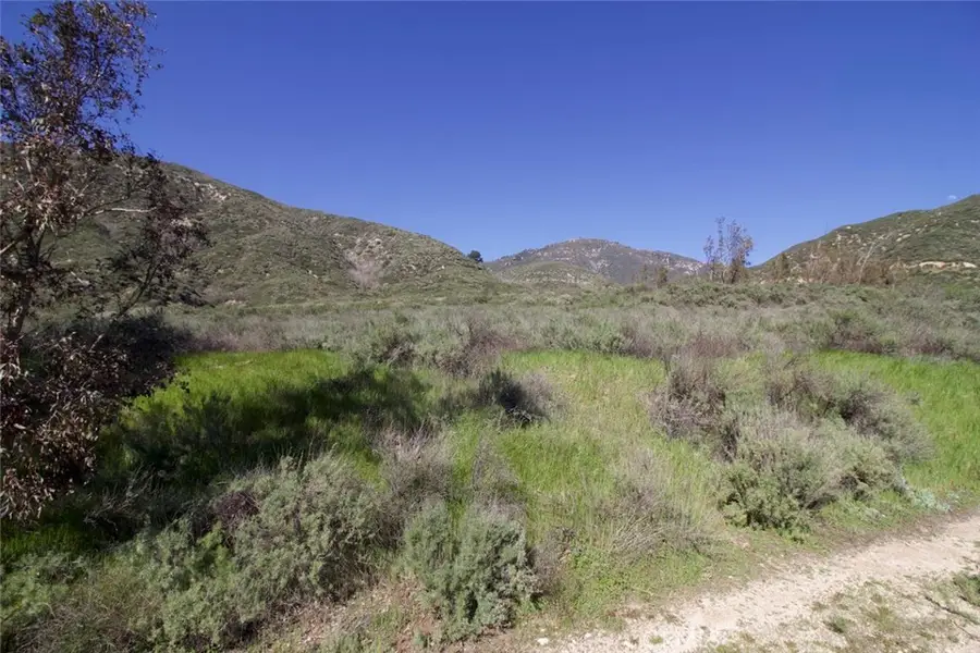 2210 Bailey Canyon Road, Devore Heights, CA 92407 - #2
