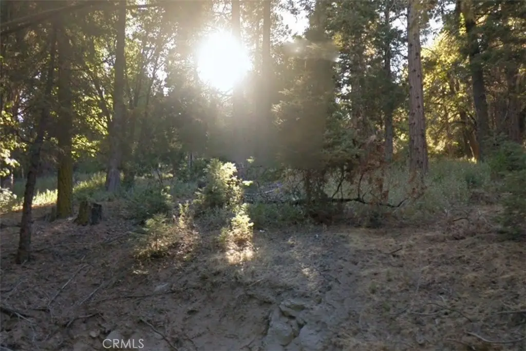 20 Burnt Mill Canyon Road, Cedarpines Park, CA 92322 - #1