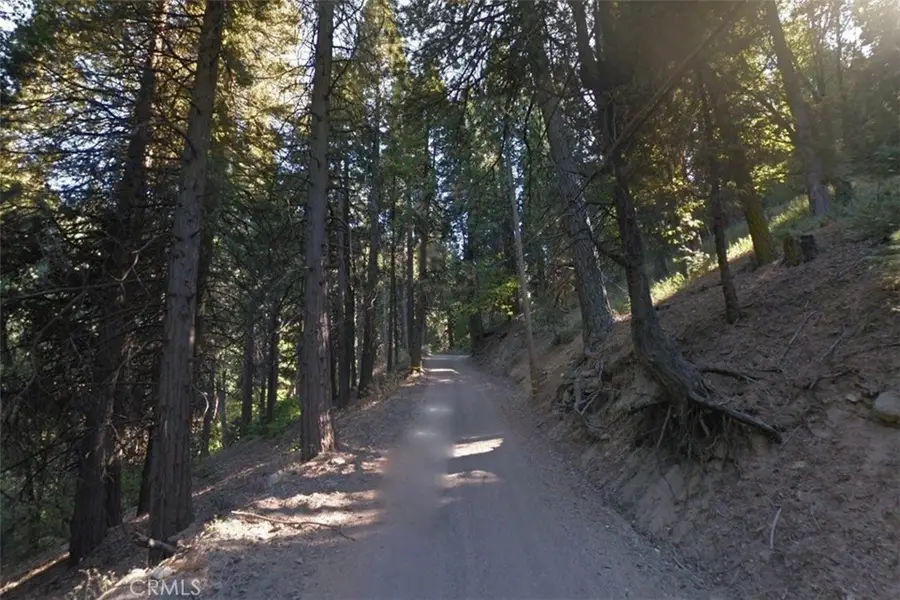 20 Burnt Mill Canyon Road, Cedarpines Park, CA 92322 - #2