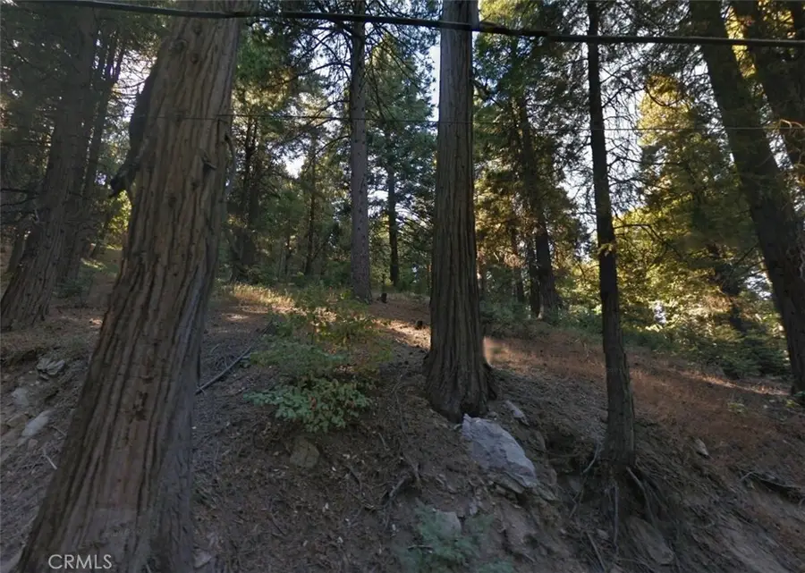 20 Burnt Mill Canyon Road, Cedarpines Park, CA 92322 - #3
