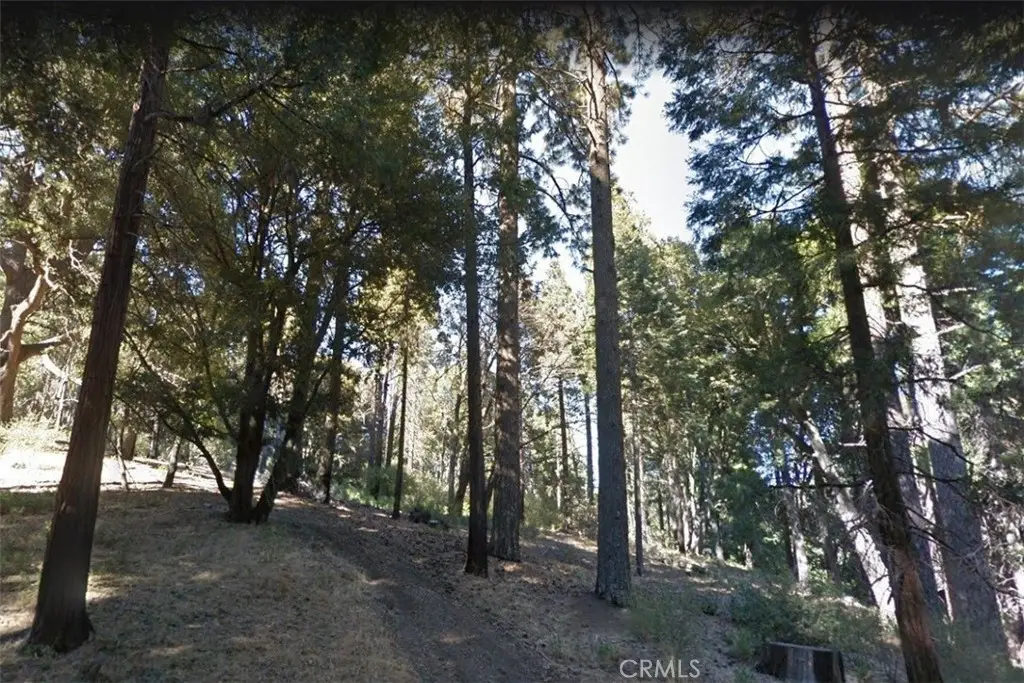 59 Mojave River Road, Cedarpines Park, CA 92322 - #1