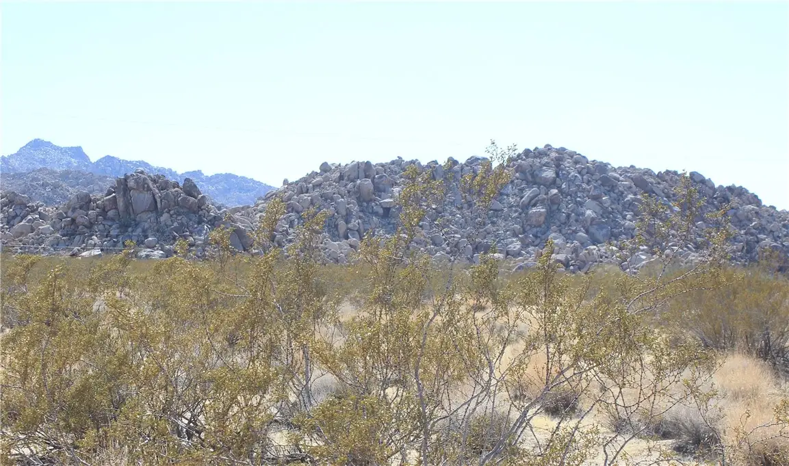 66250 Sullivan Road, Joshua Tree, CA 92252 - Image #1