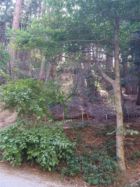 0 Lake Drive, Lake Arrowhead, CA 92352 - #2