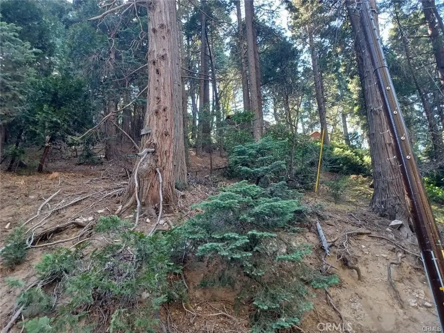 0 Lake Drive, Lake Arrowhead, CA 92352 - #3