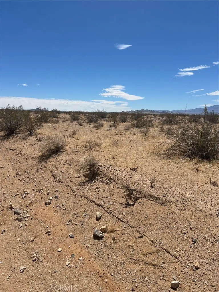 0 Haynes Road, Lucerne Valley, CA 92356 - #3