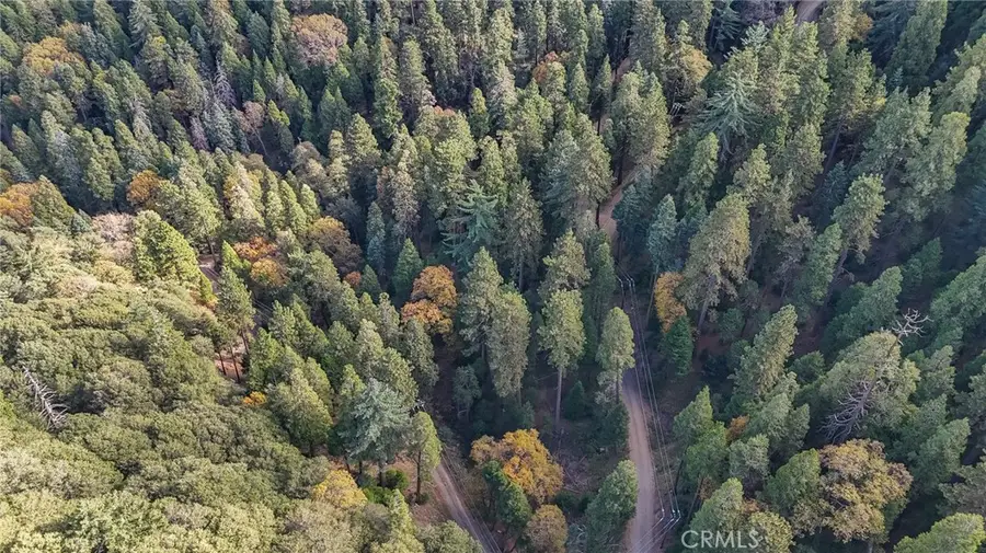 0 Deer Run Road, Cedarpines Park, CA 92322 - #3