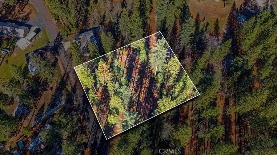 434 Bird Dog Circle, Avery, CA 95224 - Image #3