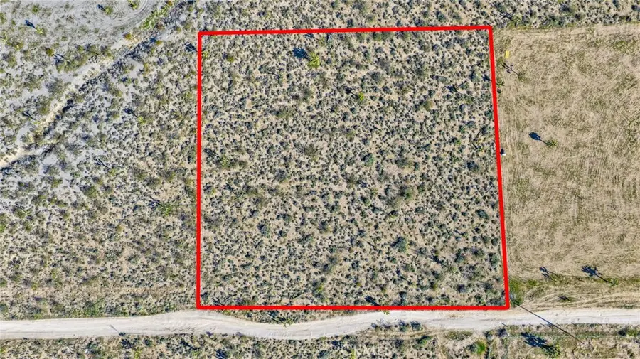 11982 Redwood Road, Pinon Hills, CA 92372 - #2