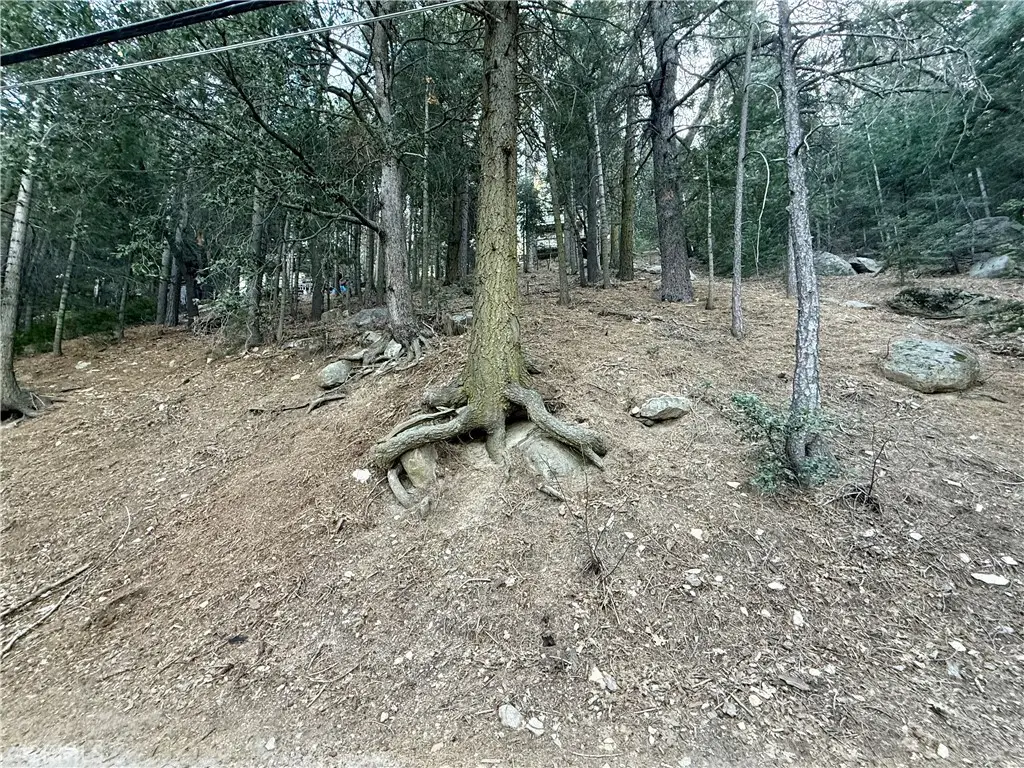 0 Scenic View, Crestline, CA 92325 - #1