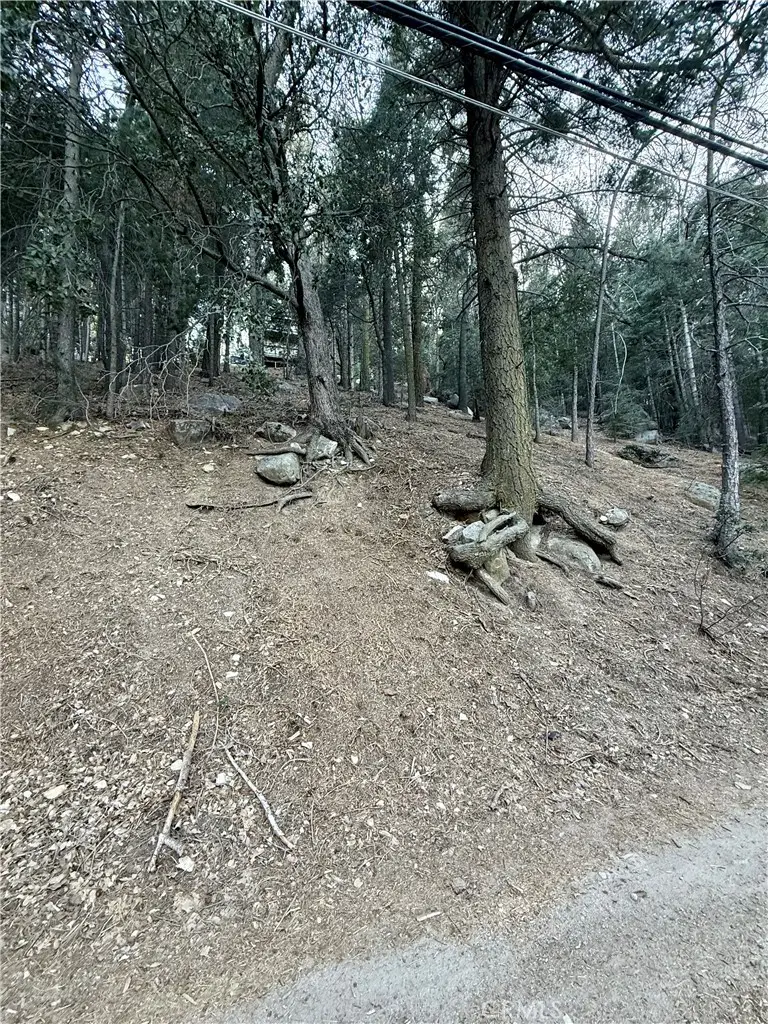 0 Scenic View, Crestline, CA 92325 - #3