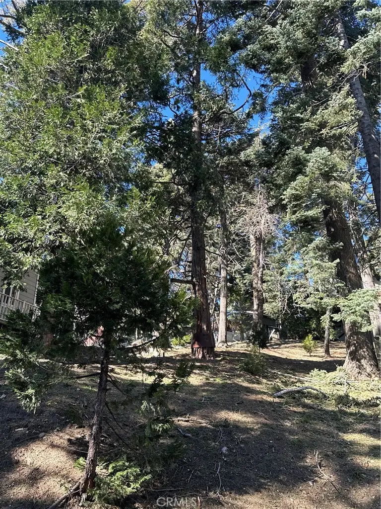 742 W Victoria Court, Lake Arrowhead, CA 92352 - #2